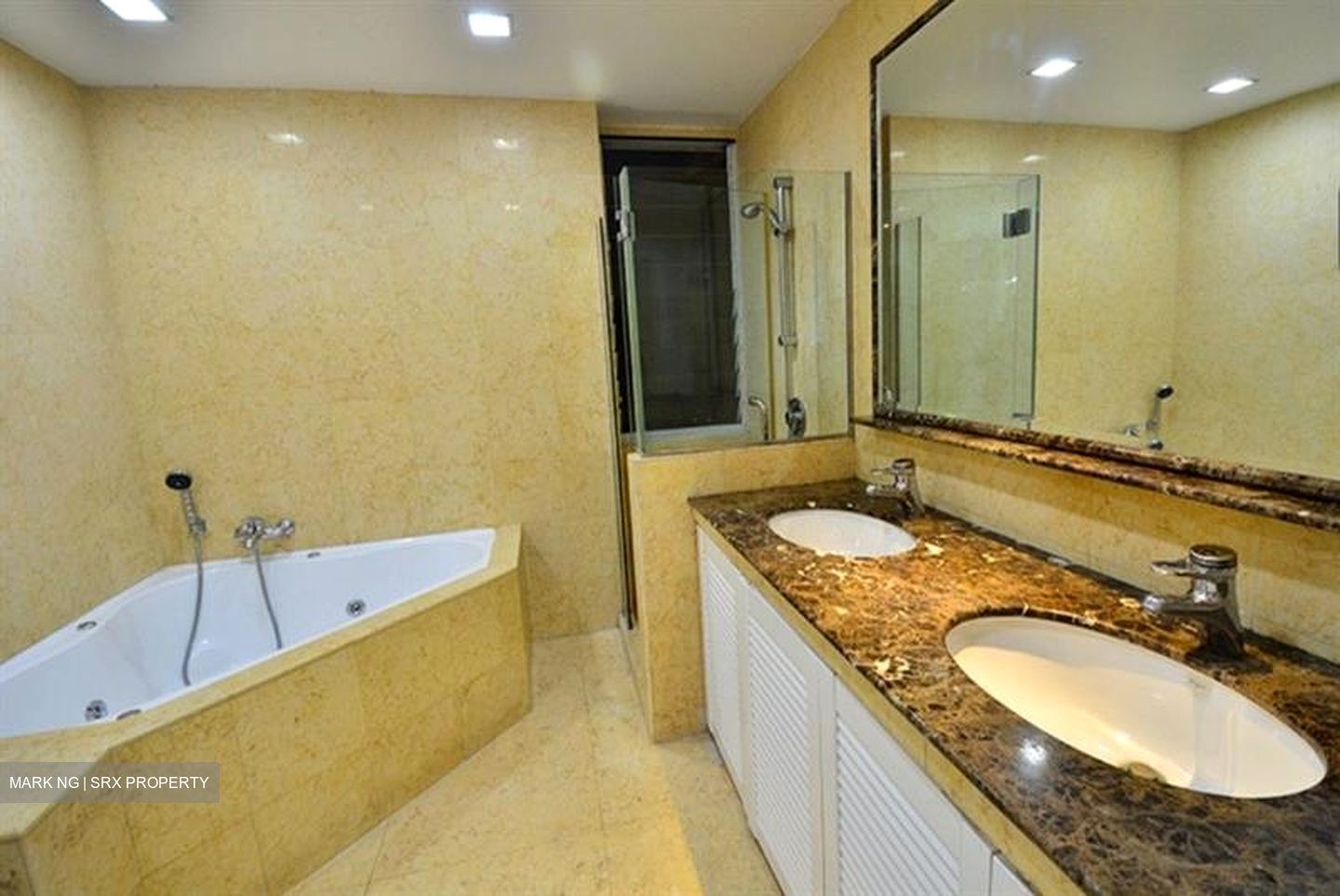 Regency Park (D10), Condominium #594149461